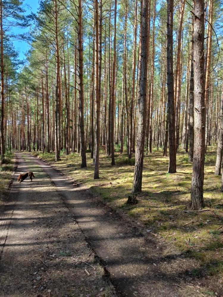Relaxklub villa s wellness Tremosna Exteriör bild
