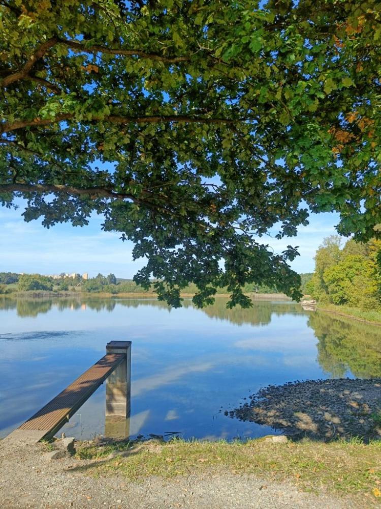 Relaxklub villa s wellness Tremosna Exteriör bild