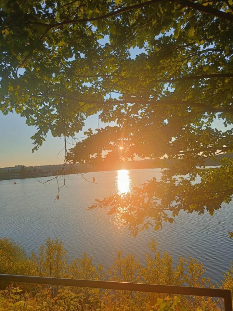 Relaxklub villa s wellness Tremosna Exteriör bild