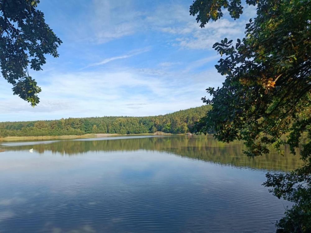 Relaxklub villa s wellness Tremosna Exteriör bild