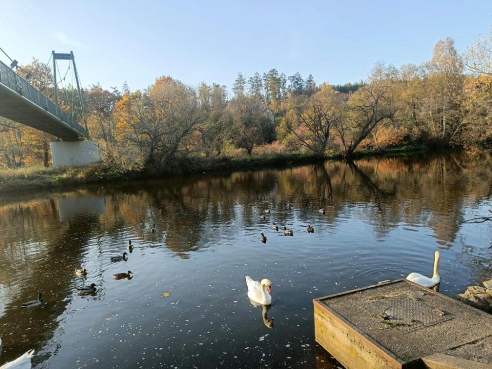 Relaxklub villa s wellness Tremosna Exteriör bild